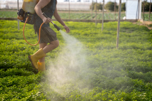Best Best Pest Control Companies  in Page, AZ