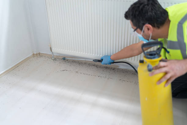 Best Cockroach Control Services  in Page, AZ