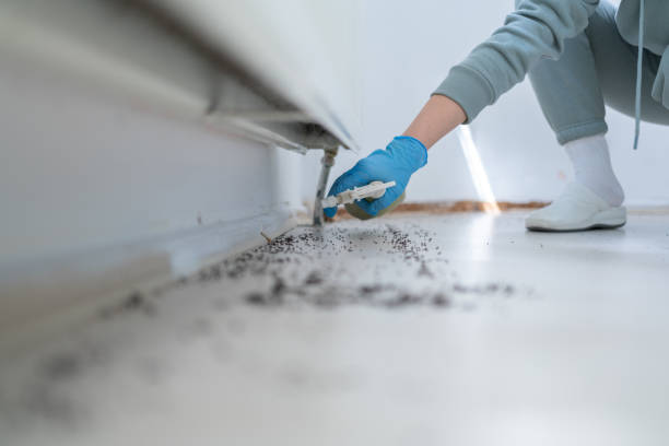 Pest Control Cost in Page, AZ